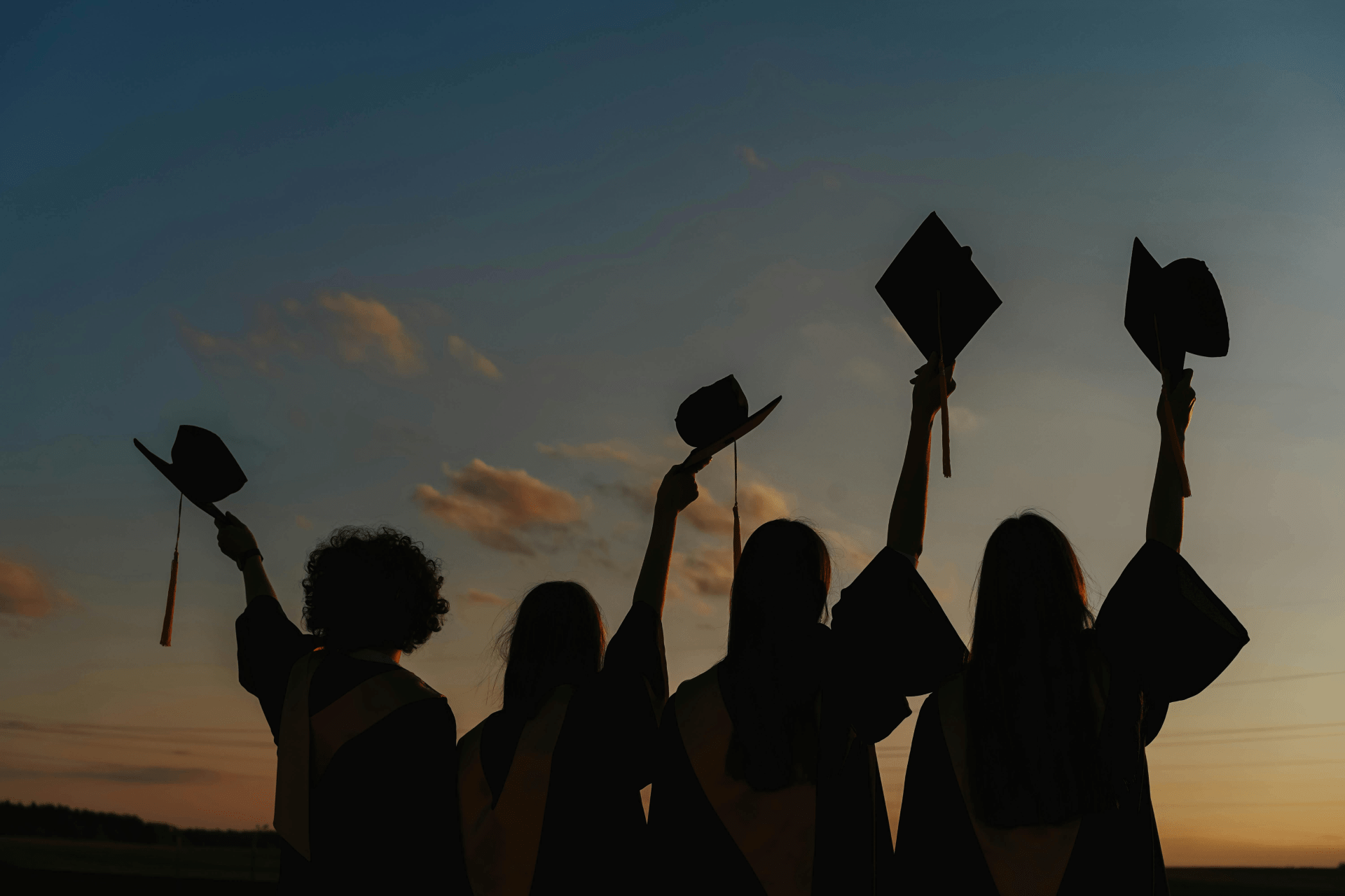 IDEAL_Alumni_Network